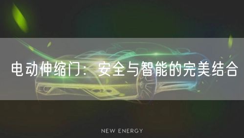 电动伸缩门：安全与智能的完美结合(图1)